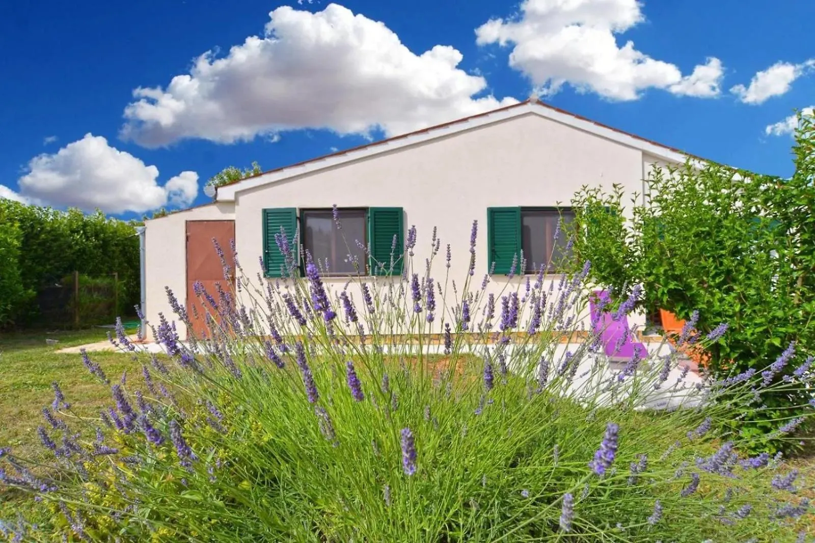 Vakantiehuis Adriatic Vacation House Ližnjan